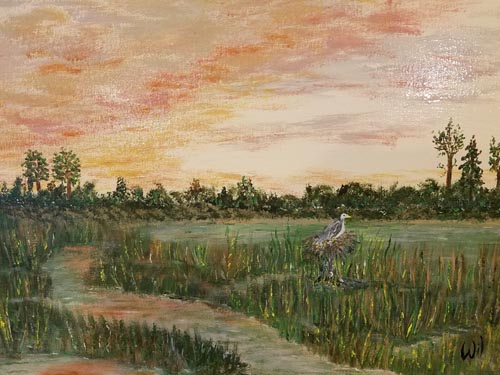 Marsh with water bird at sunset