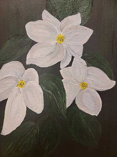 Wjote blossoms on dark green background