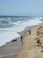 People on an ocean beach